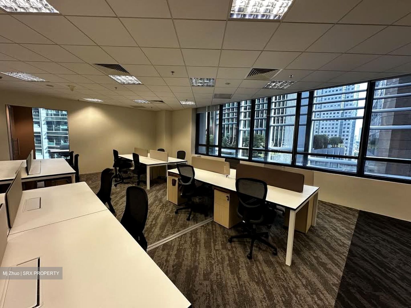 PLUS (D1), Office #556235831
